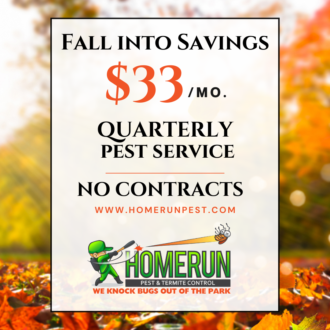 Coupon Banner